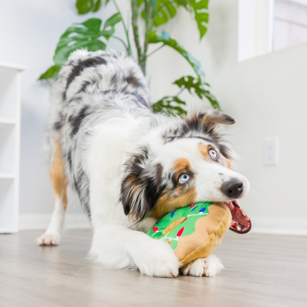 Lit Donut Dog Toy