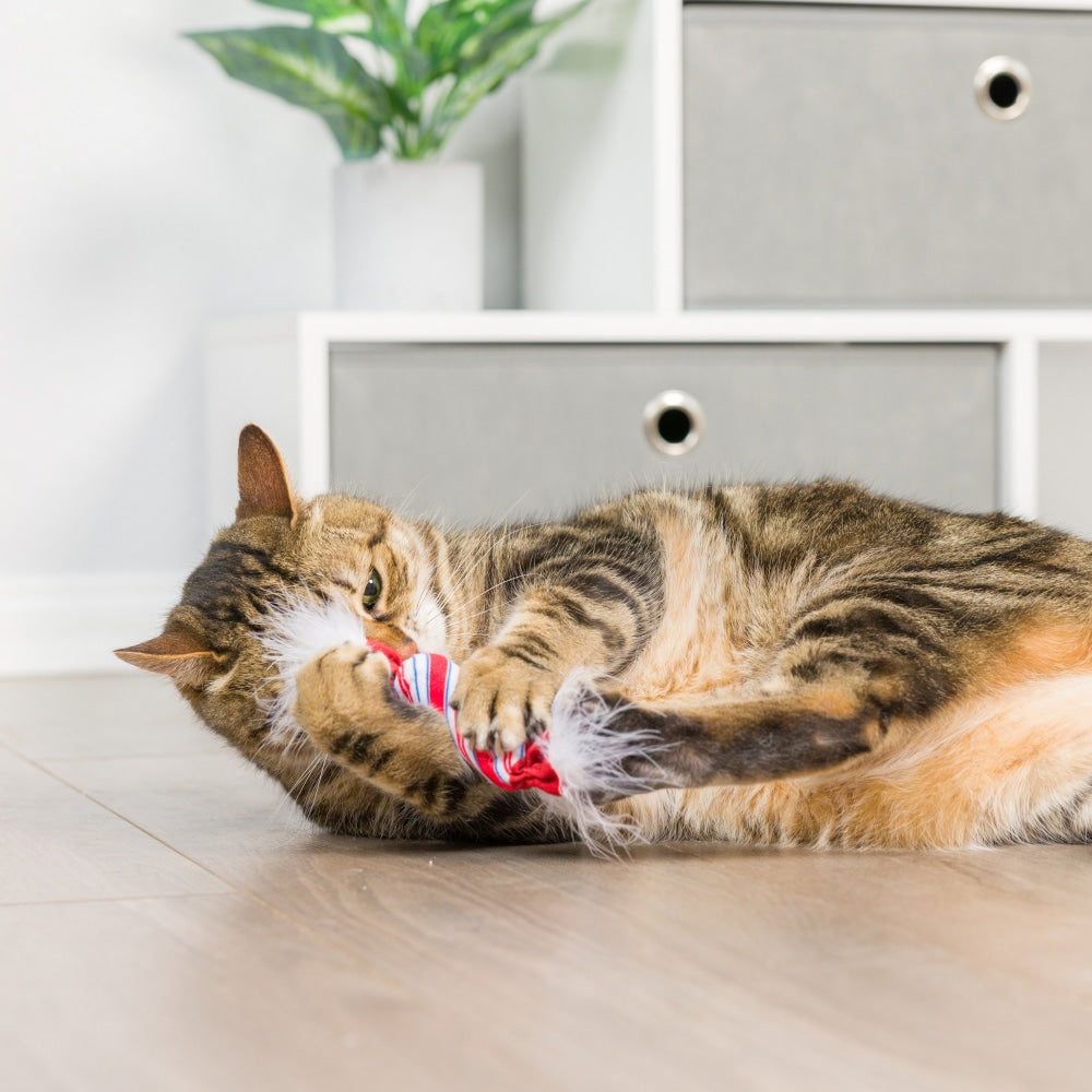 Lit Donut & Peppermint Candy 2pk Cat Toy