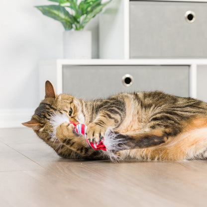Lit Donut & Peppermint Candy 2pk Cat Toy