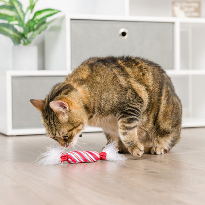 Lit Donut & Peppermint Candy 2pk Cat Toy