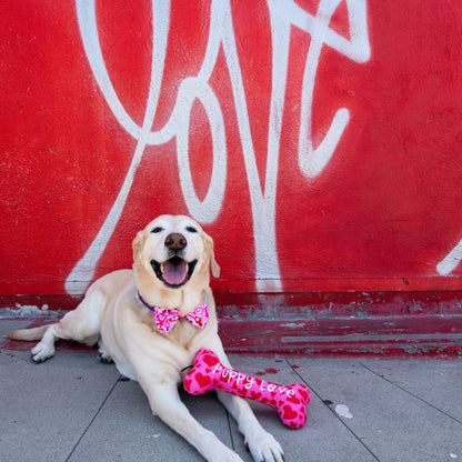 Love Pawtion #K9 Bow Tie - 30% Off