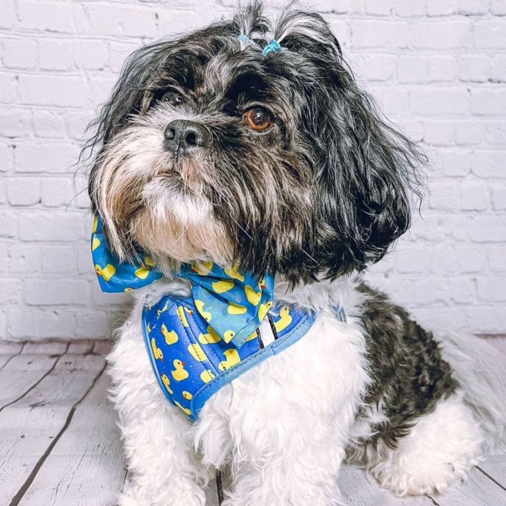 Lucky Ducky Bow Tie