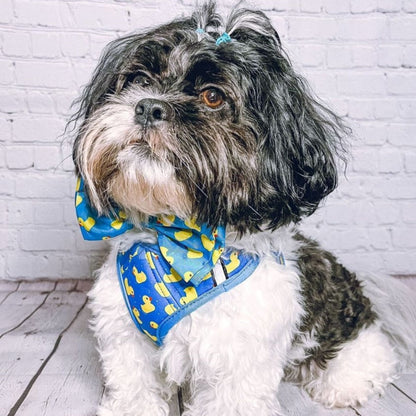 Lucky Ducky Bow Tie