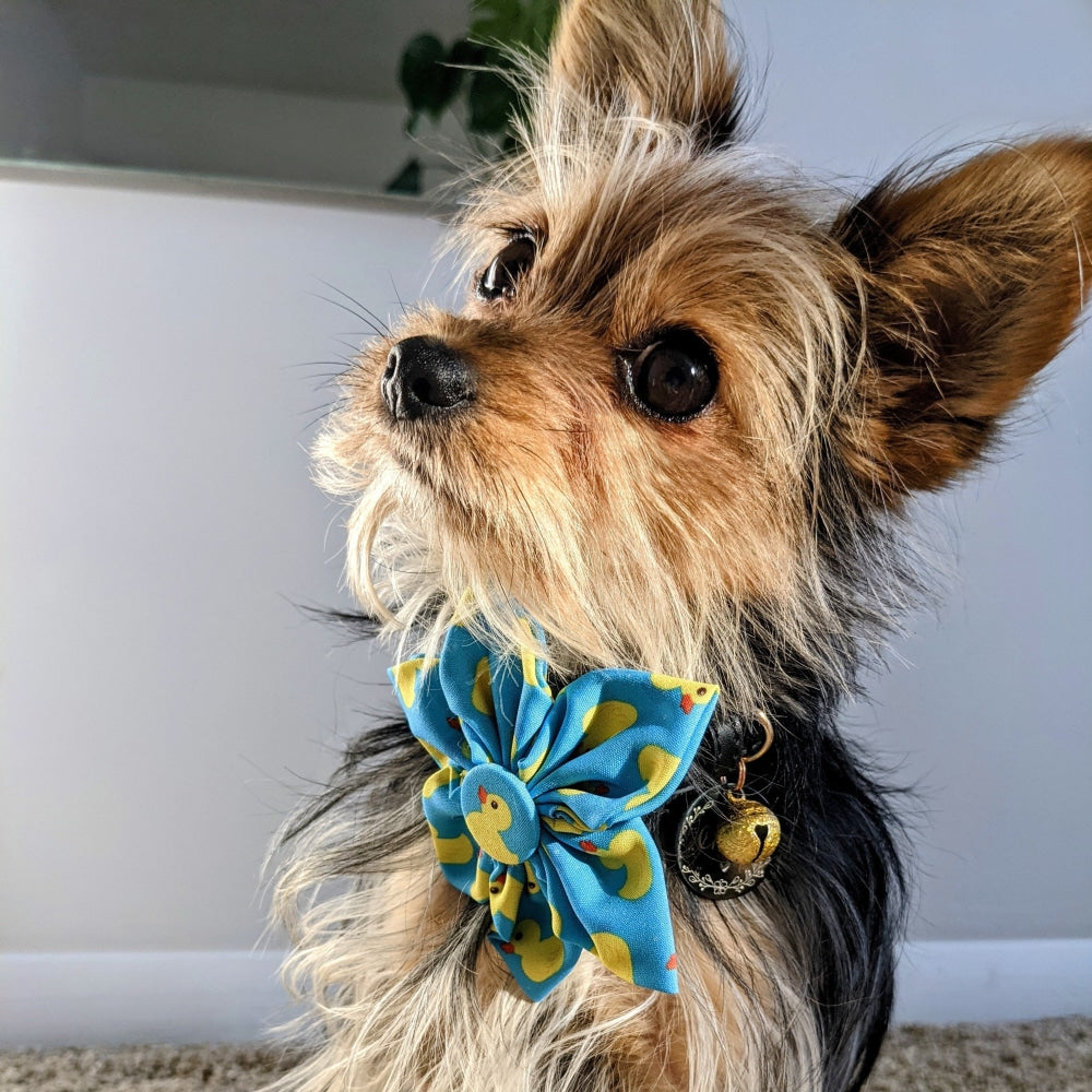 Lucky Ducky Pinwheel