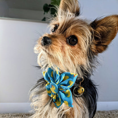 Lucky Ducky Pinwheel