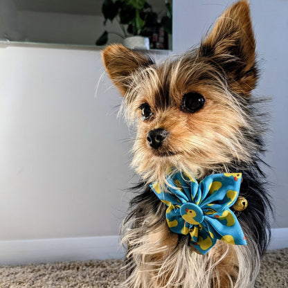 Lucky Ducky Pinwheel