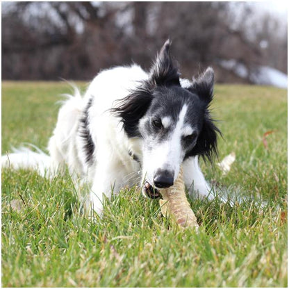 6" Beef Trachea (Bulk - Shrinkwrapped)- Pack of 25