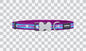Buckle Bone Dog Collars - Design - Unicorn
