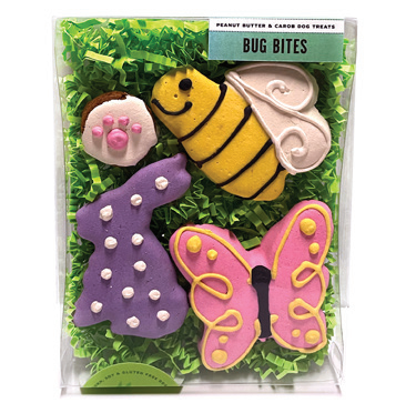 Bug Bites Box (Spring)