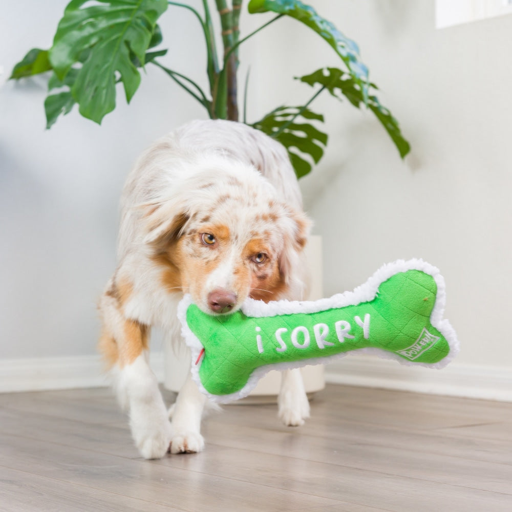 Me Did It, I Sorry Bone Dog Toy (Double Sided)