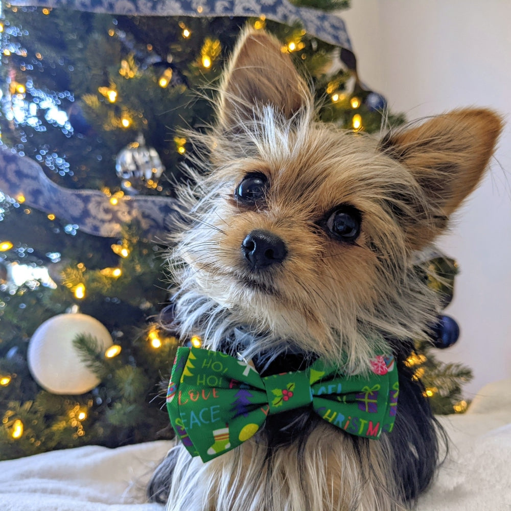 Merry & Bright Bow Tie - 30% Off