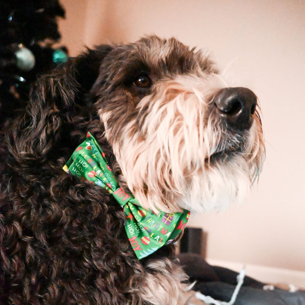 Merry & Bright Bow Tie - 30% Off