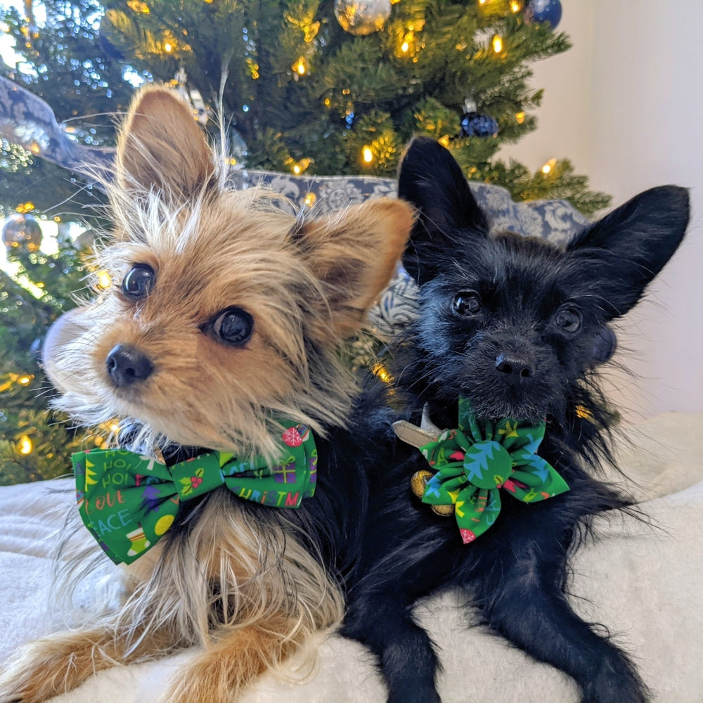 Merry & Bright Bow Tie - 30% Off