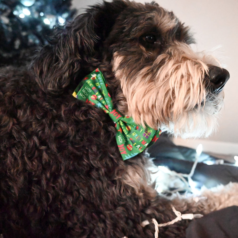 Merry & Bright Bow Tie - 30% Off