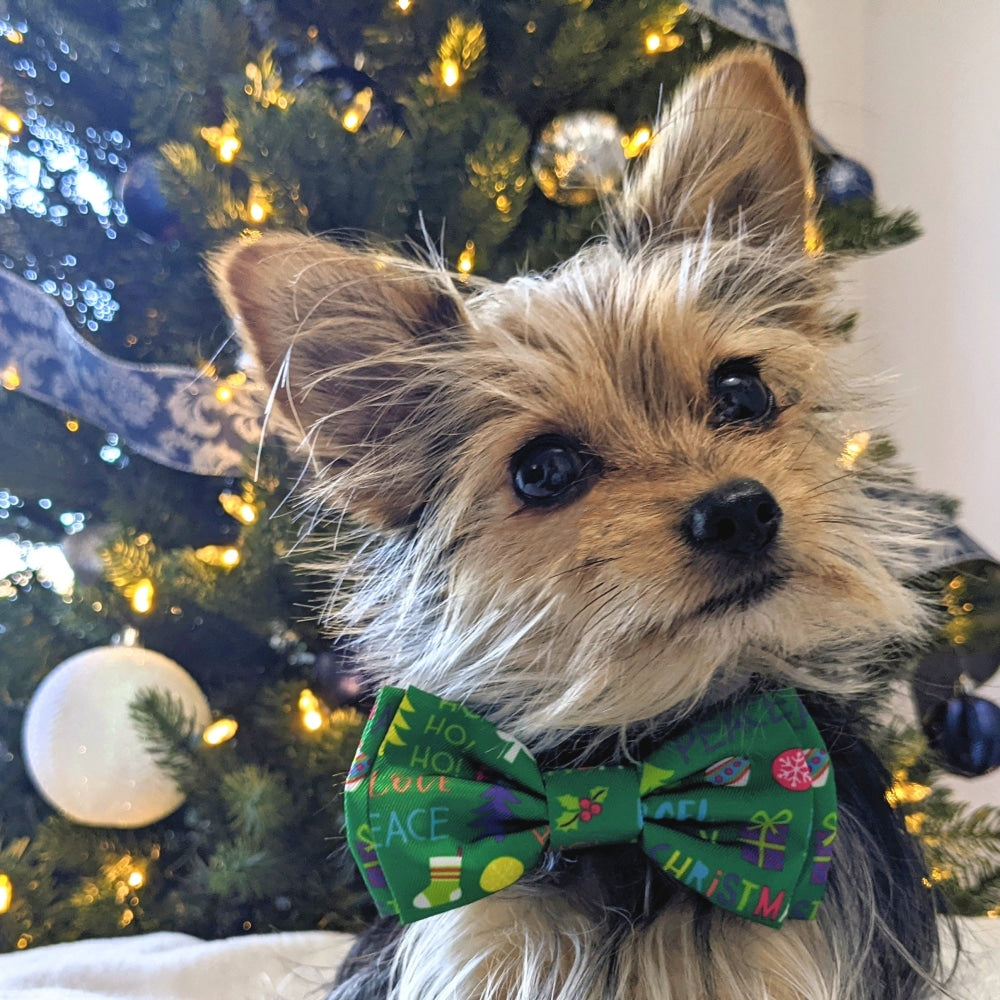 Merry & Bright Bow Tie - 30% Off