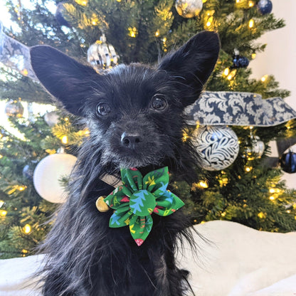 Merry & Bright Pinwheel - 30% Off