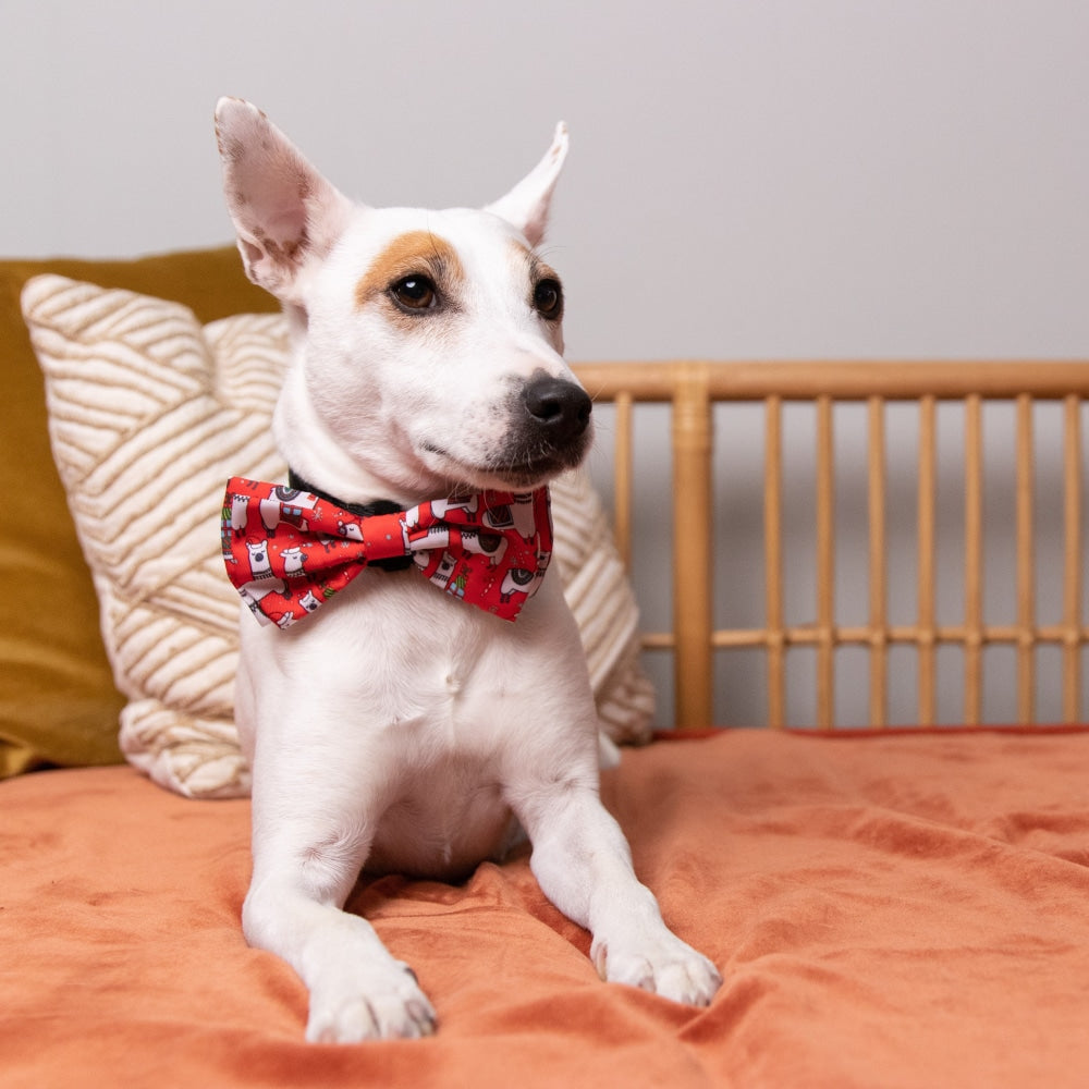 Merry Llamas Bow Tie - 30% Off