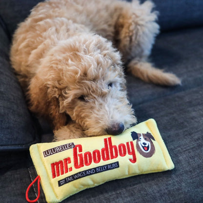 Mr. Goodboy Dog Toy (Stuffless)
