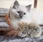 Birbit