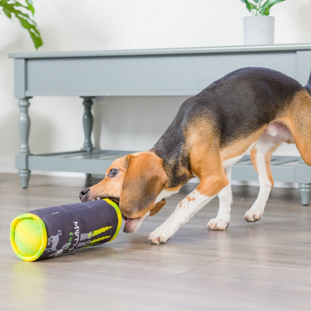 Muttster Energy Dog Toy - 30% Off