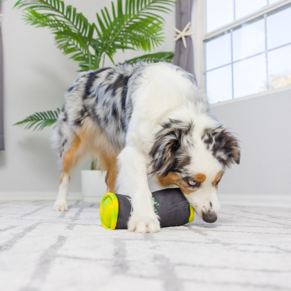 Muttster Energy Dog Toy - 30% Off