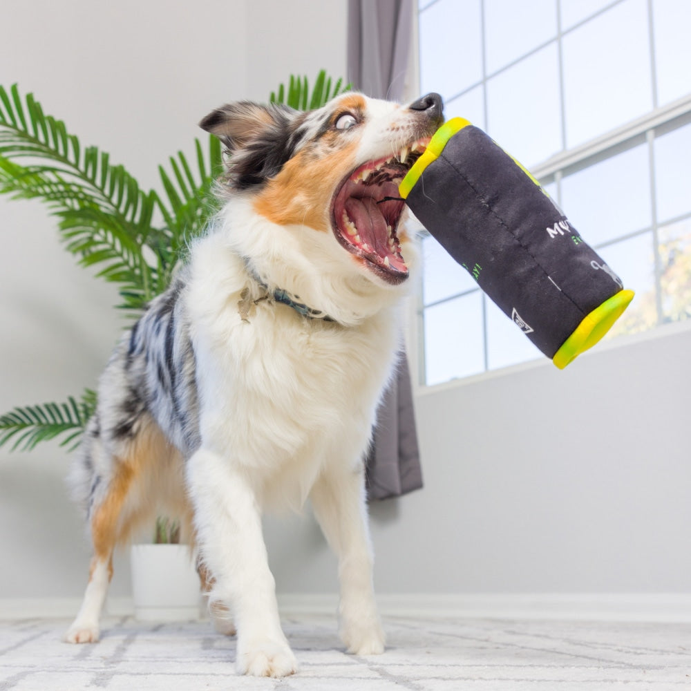 Muttster Energy Dog Toy - 30% Off