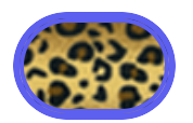 Signature Suit - Leopard