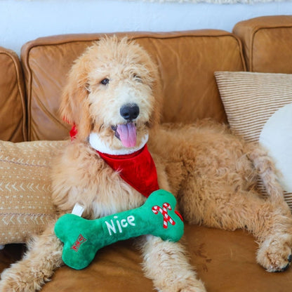 Naughty & Nice Bone Dog Toy (Double Sided)