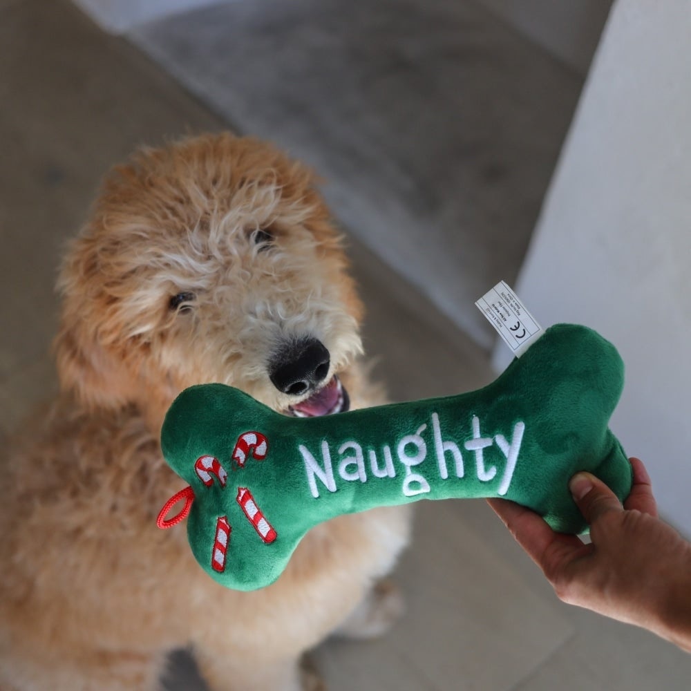 Naughty & Nice Bone Dog Toy (Double Sided)
