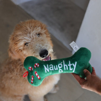 Naughty & Nice Bone Dog Toy (Double Sided)