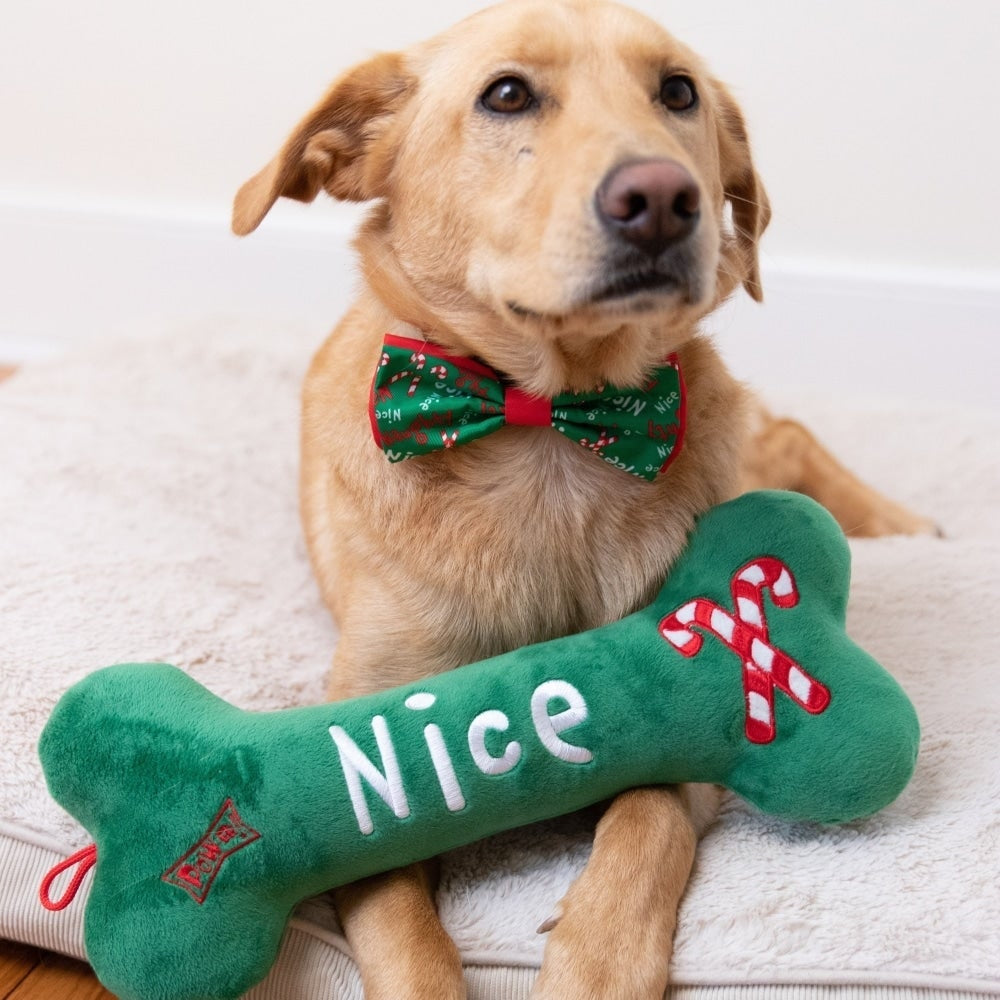 Naughty & Nice Bone Dog Toy (Double Sided)