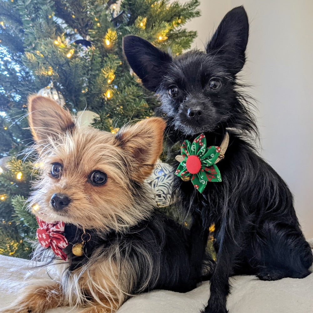 Naughty & Nice Pinwheel