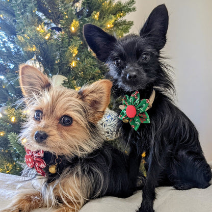 Naughty & Nice Pinwheel