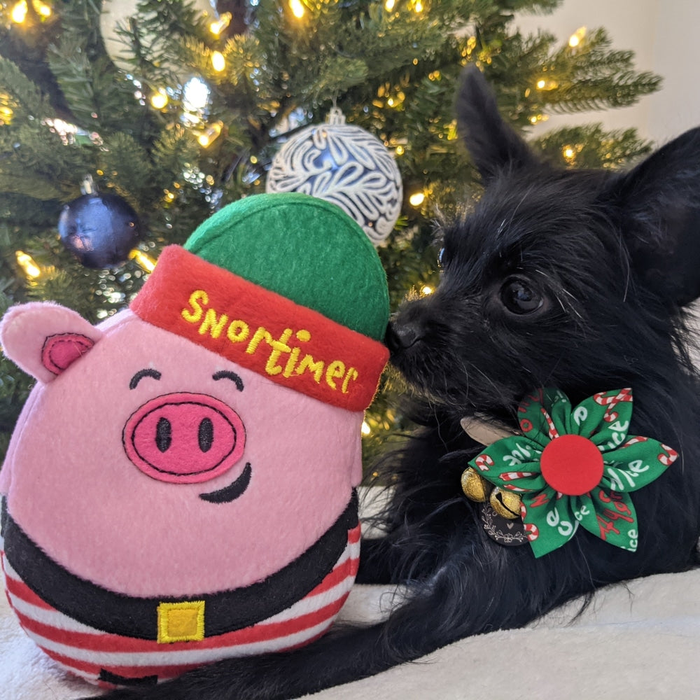 Naughty & Nice Pinwheel