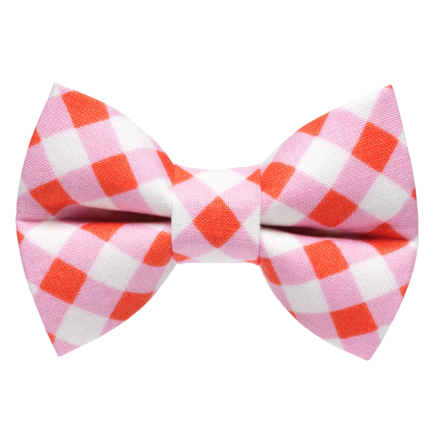 The New Neighbor - Bow Tie