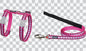 Cat Harness & Leads - Reflective