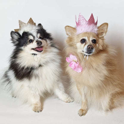 Party Crowns with SnugFit®
