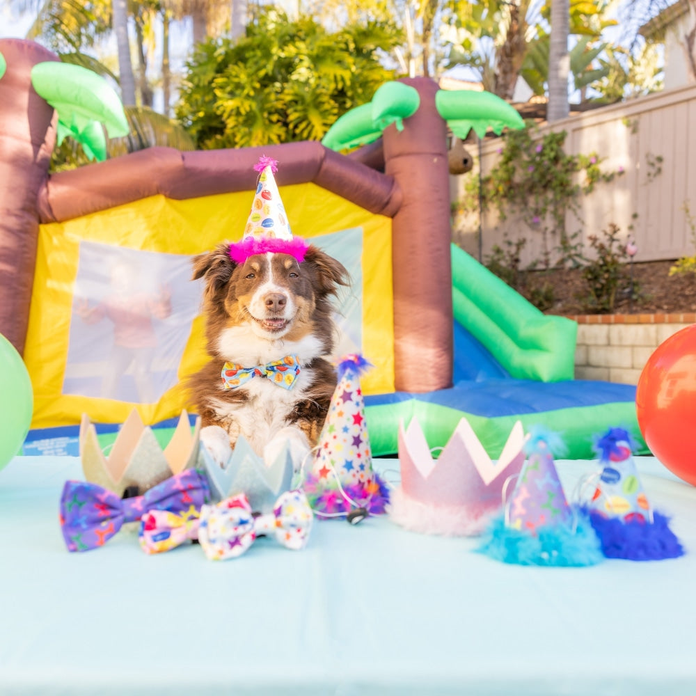 Party Crowns with SnugFit®