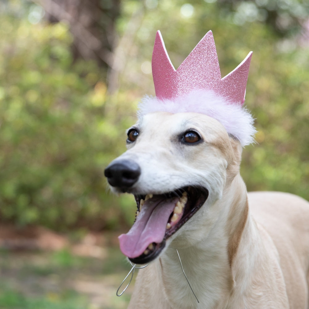 Party Crowns with SnugFit®