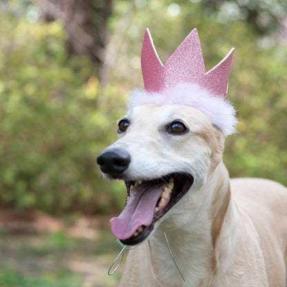 Party Crowns with SnugFit®