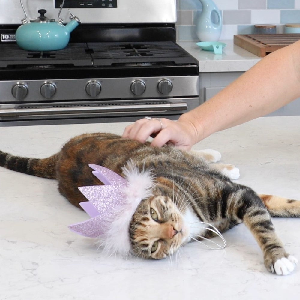 Party Crowns with SnugFit®