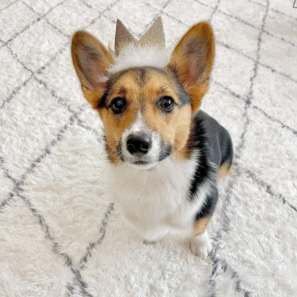 Party Crowns with SnugFit®