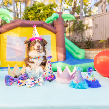 Party Crowns with SnugFit®