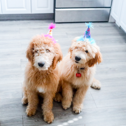 Party Hats with SnugFit®