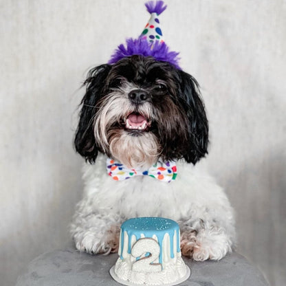 Party Hats with SnugFit®