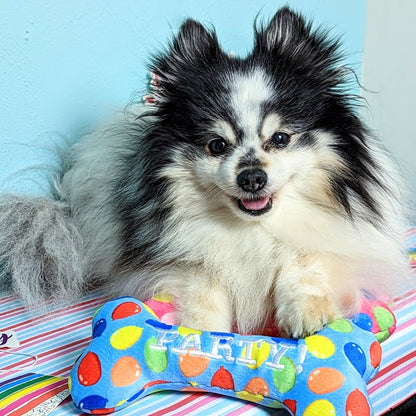 Party Time Bone Dog Toy