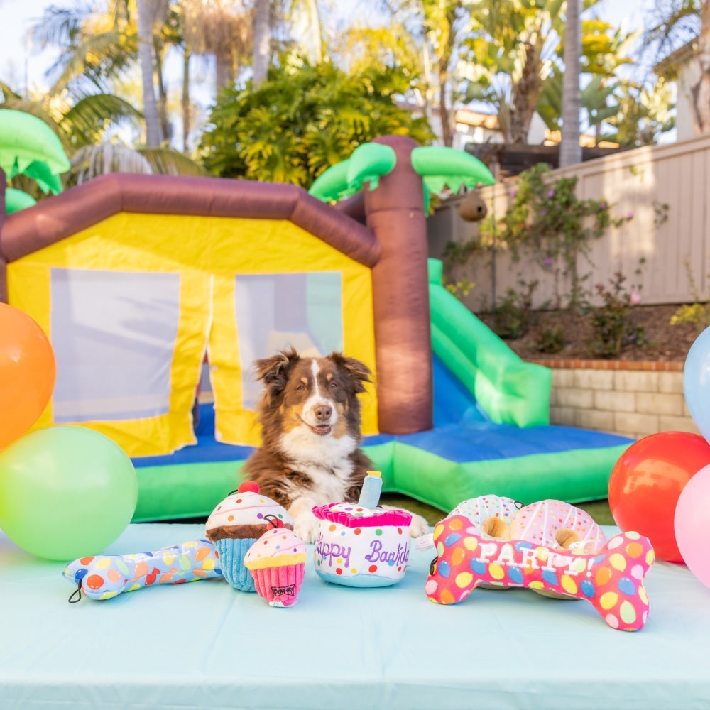 Party Time Bone Dog Toy