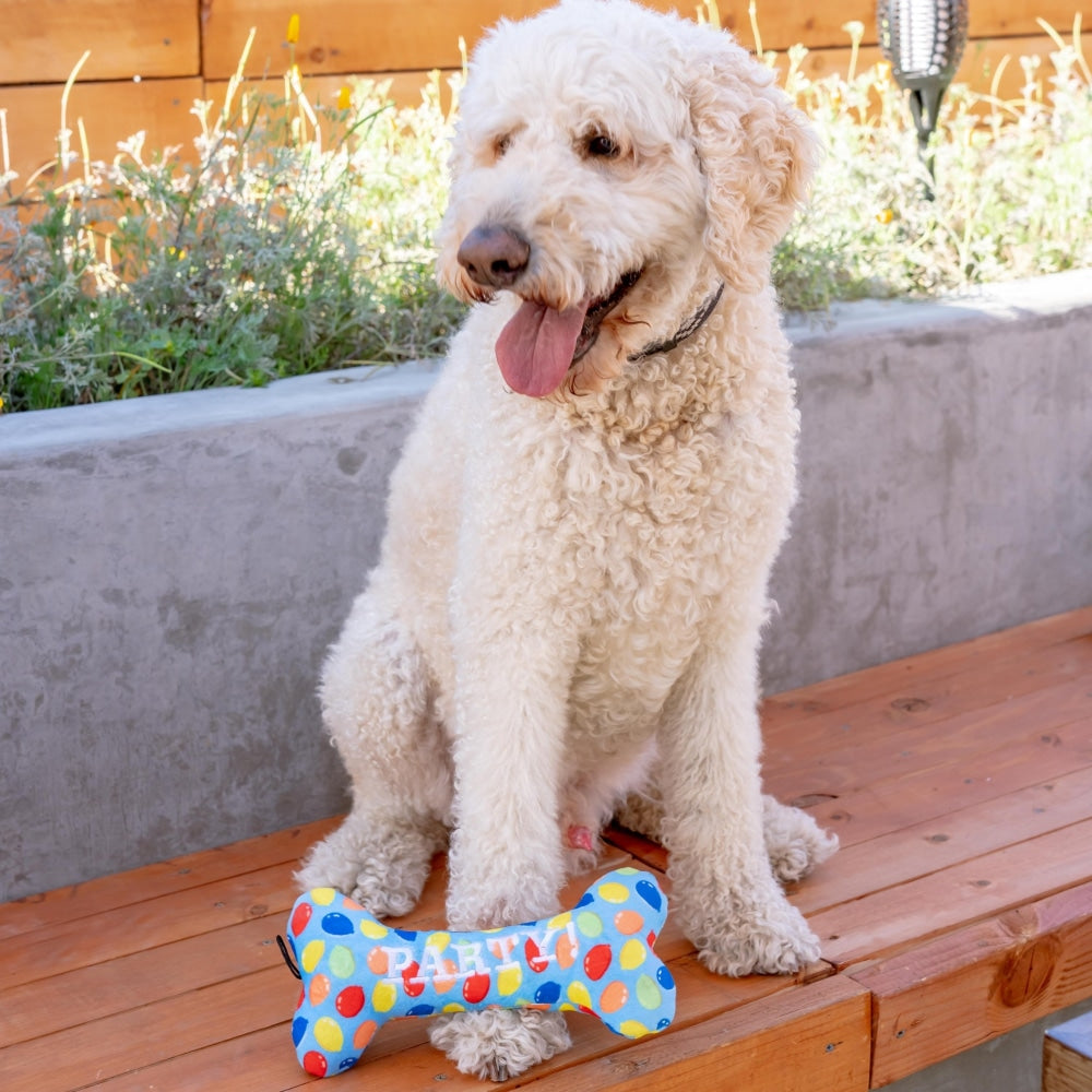 Party Time Bone Dog Toy