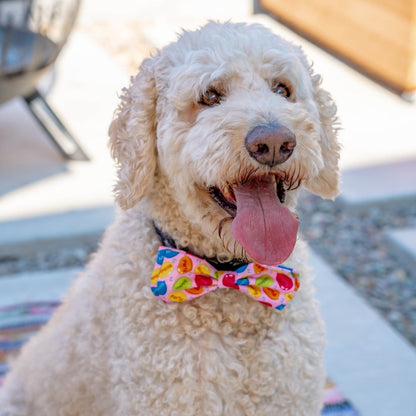 Party Time Bow Tie
