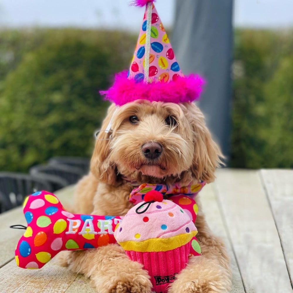 Party Time Bow Tie